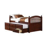 Coaster Norwood Twin Captain's Bed with Trundle and Drawers Chestnut Model 400381T